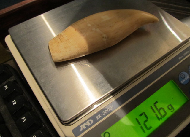 クジラの歯の買取