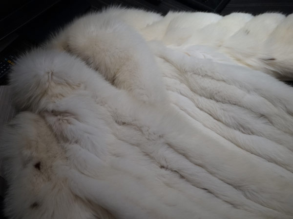 毎週水曜日はお休みです